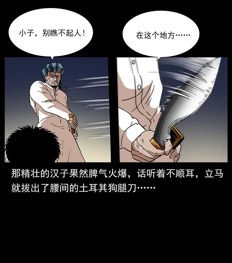 316 大漠归客61