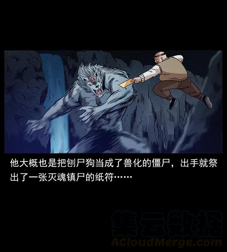 313 兽形僵尸36