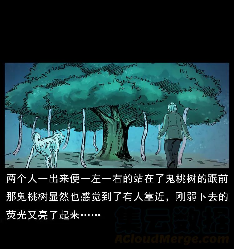 082 鬼桃树64
