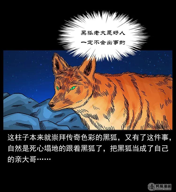 143 出马黑狐66