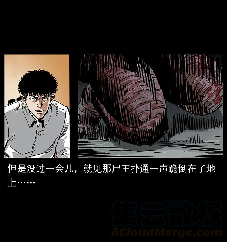 208 哪来的尸王80