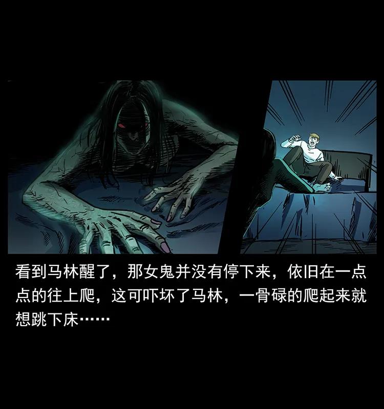 258 身后的危机87