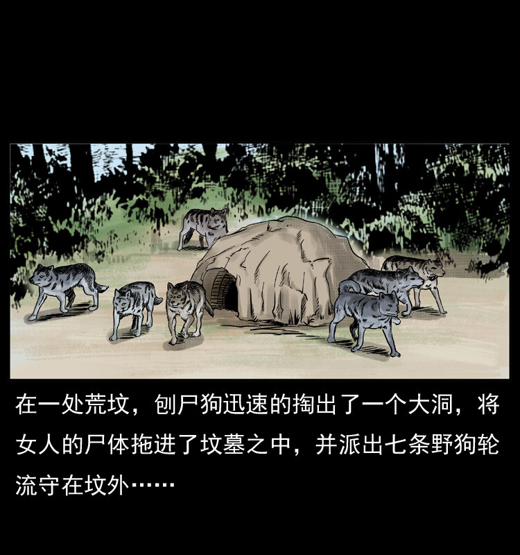 050 刨尸狗传奇349