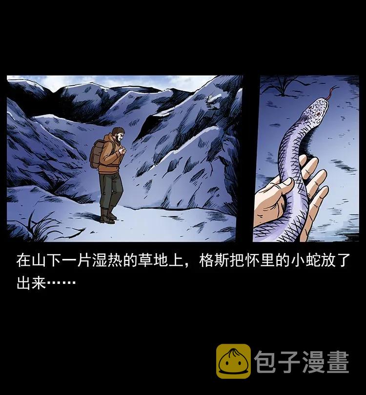 291 大神命阵29