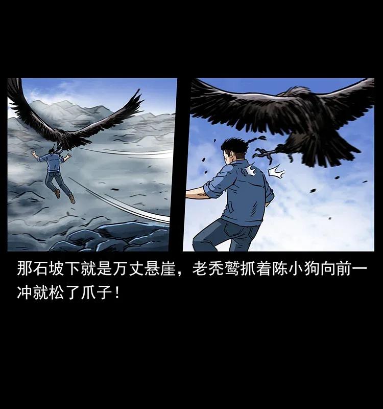 281 柱子归来！35