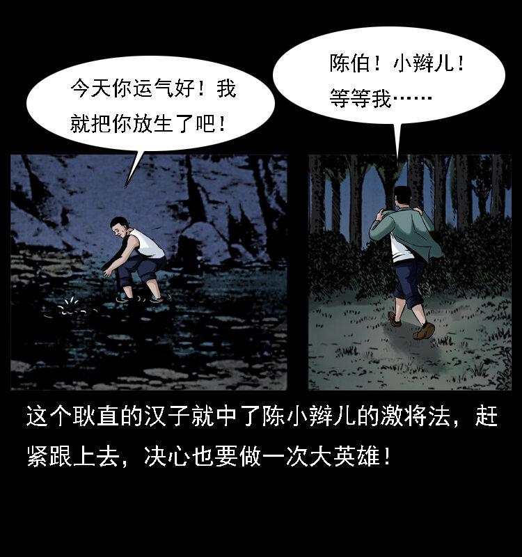 003 赵家的猫12