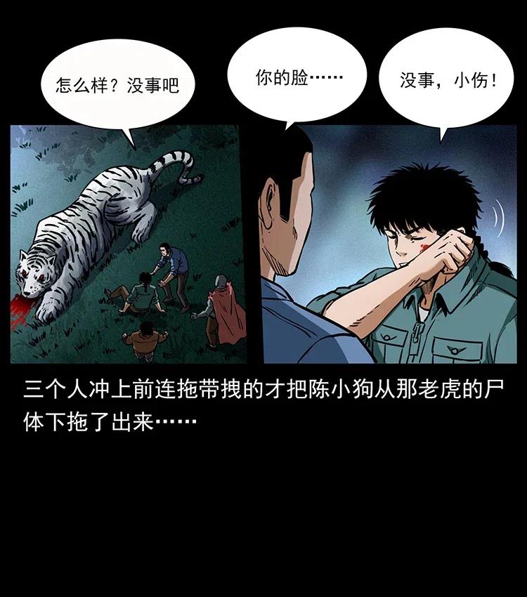 342 白毛僵尸51