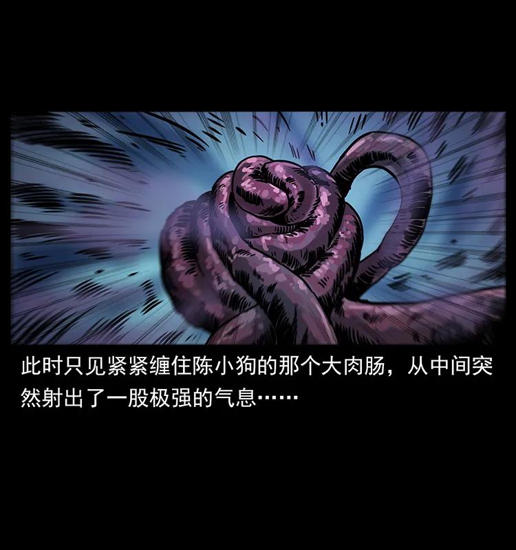 242 陈小狗失算了41