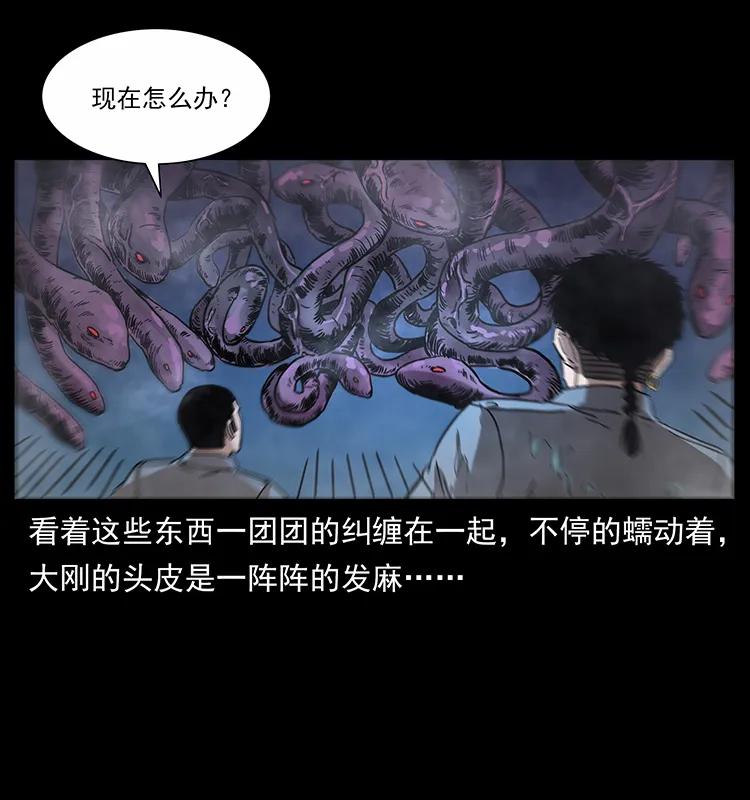 242 陈小狗失算了21