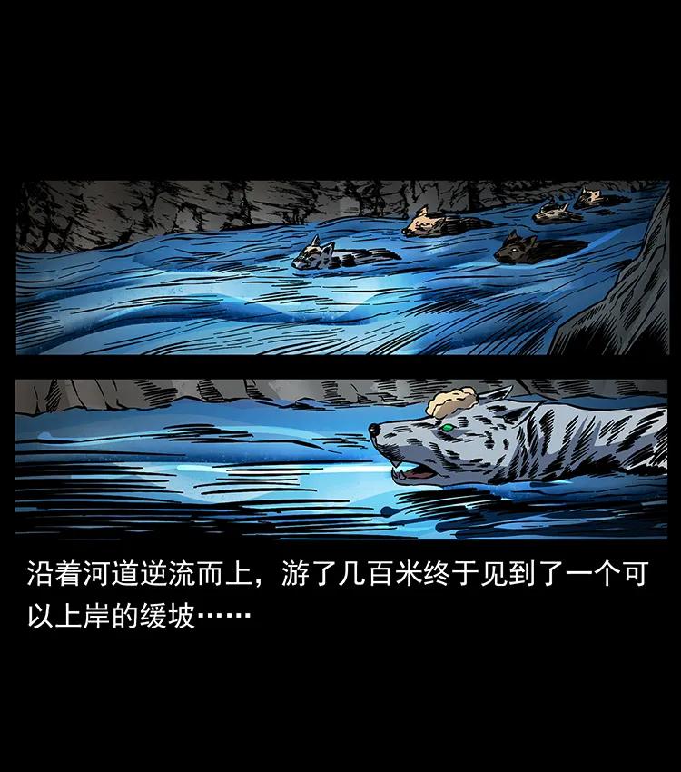 170 布局26