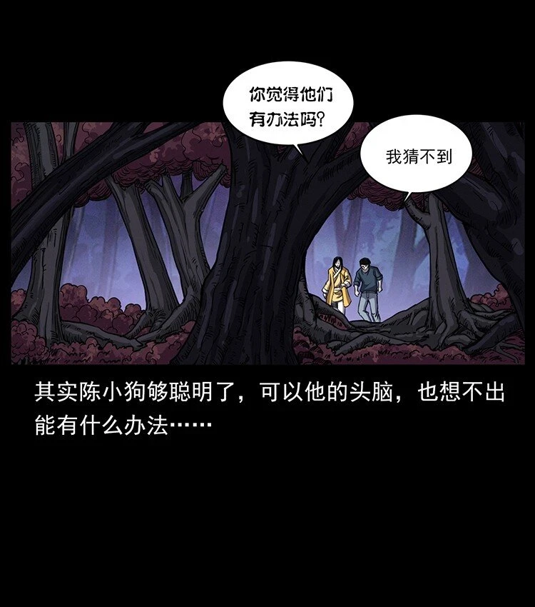 495 计对计70