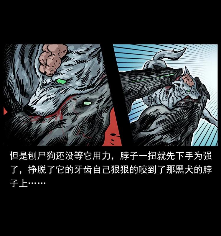 252 危机！危机29