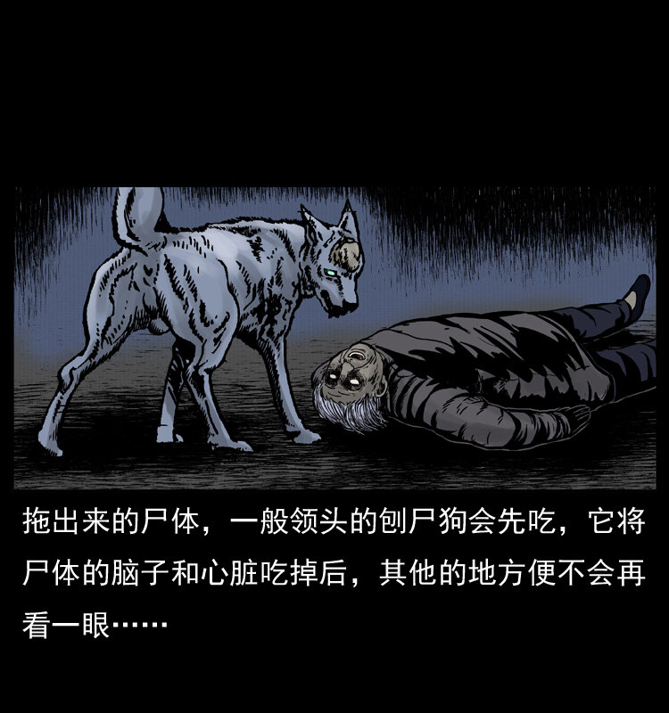 005 刨尸狗14