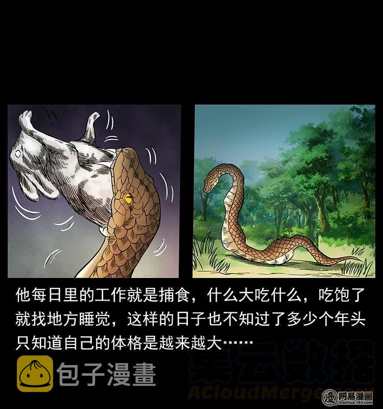 139 巨兽凶蟒44