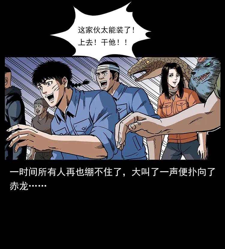 293 赤龙回归45