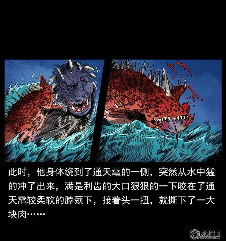 130 大战通天鼋23