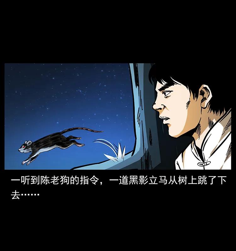 163 陈老狗下南疆6