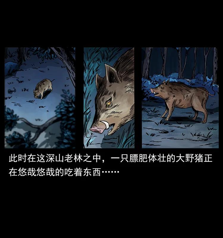 263 恐怖杀人峰45