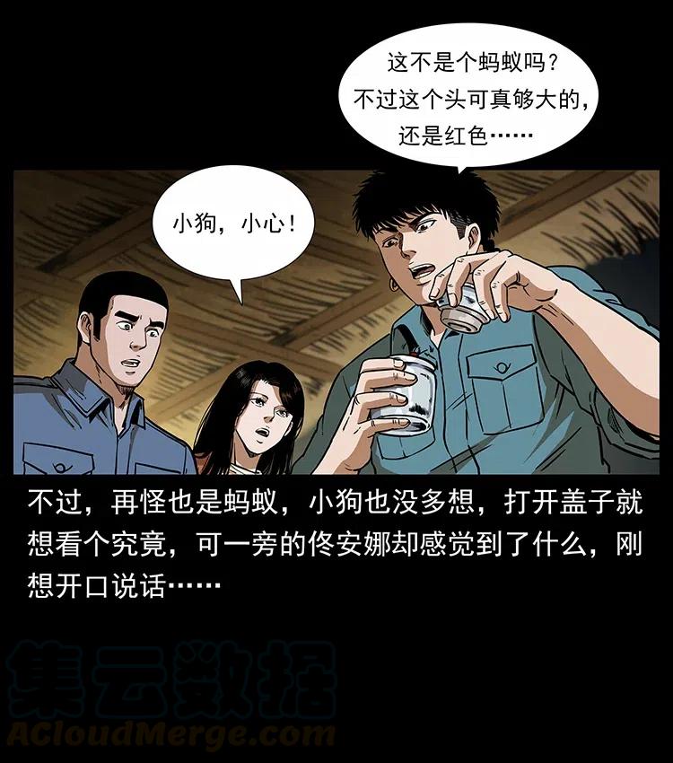317 大漠凶兽4