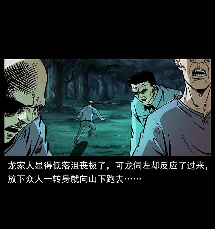 181 龙家人初现30