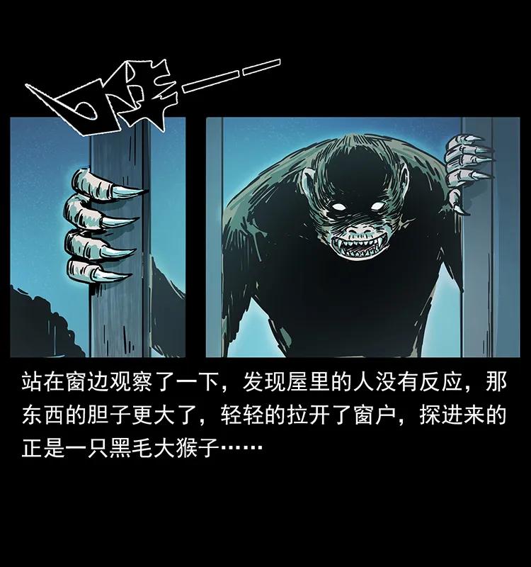 228 凶兽63