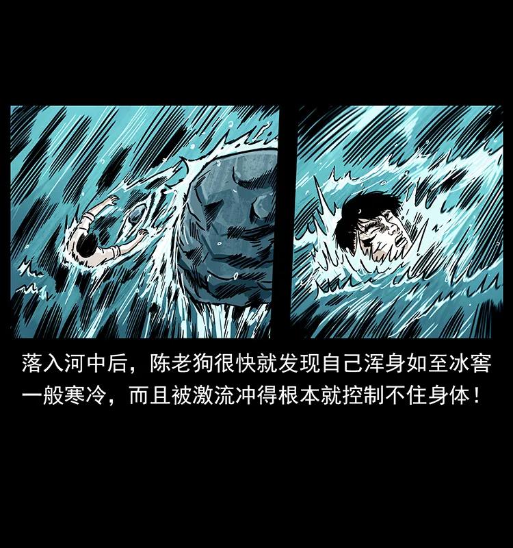 231 东海木龙45