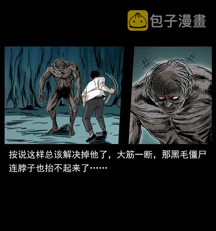 231 东海木龙26
