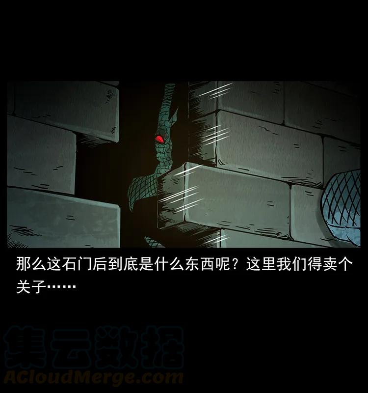 262 藏地神族28