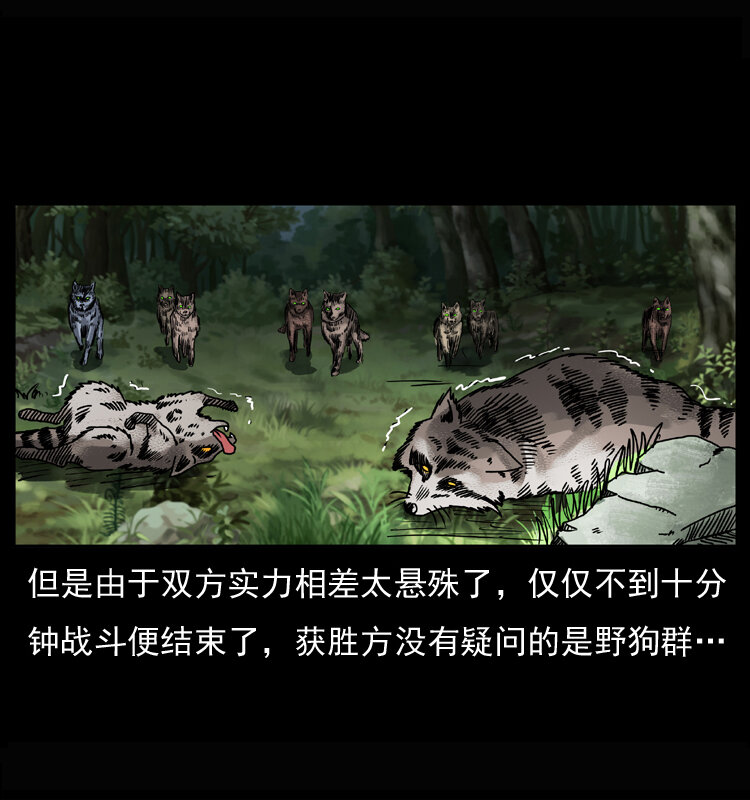 037 百雀丹（下）17