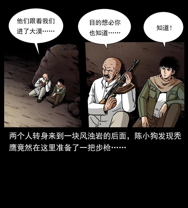 318 沙漠秃鹰27