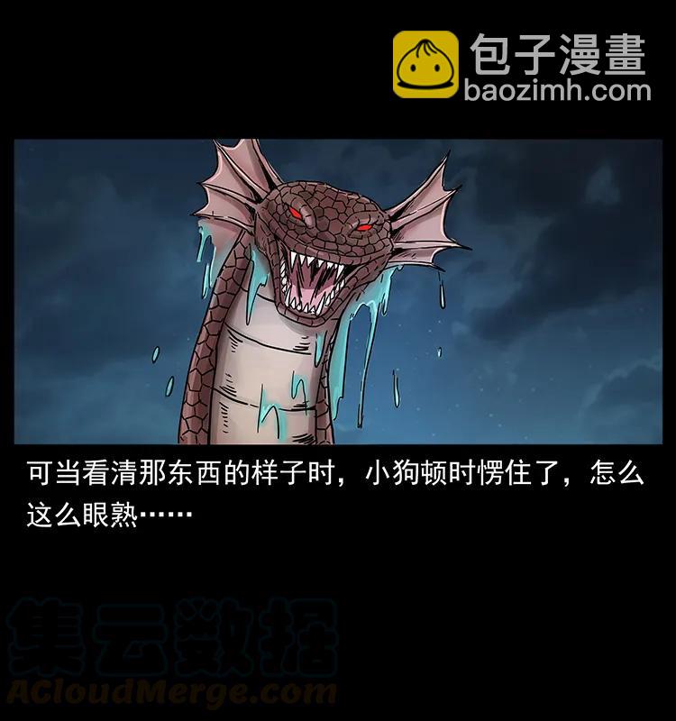 242 陈小狗失算了76