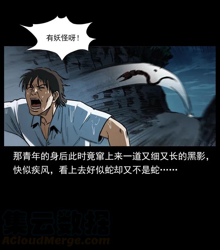 367 什么？女妖怪！30