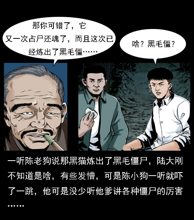 003 赵家的猫70