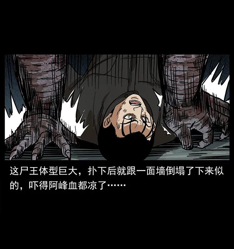 208 哪来的尸王69