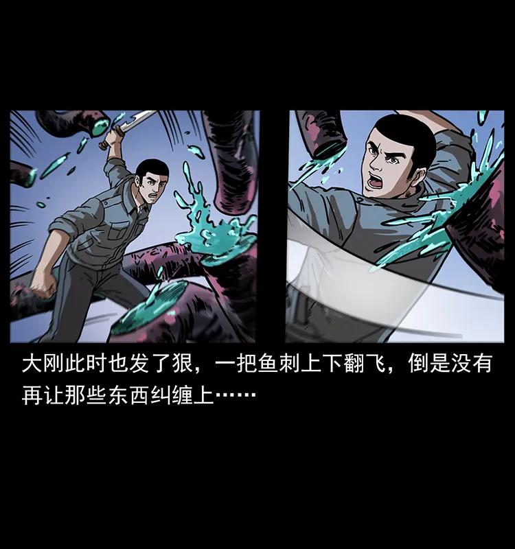 242 陈小狗失算了27