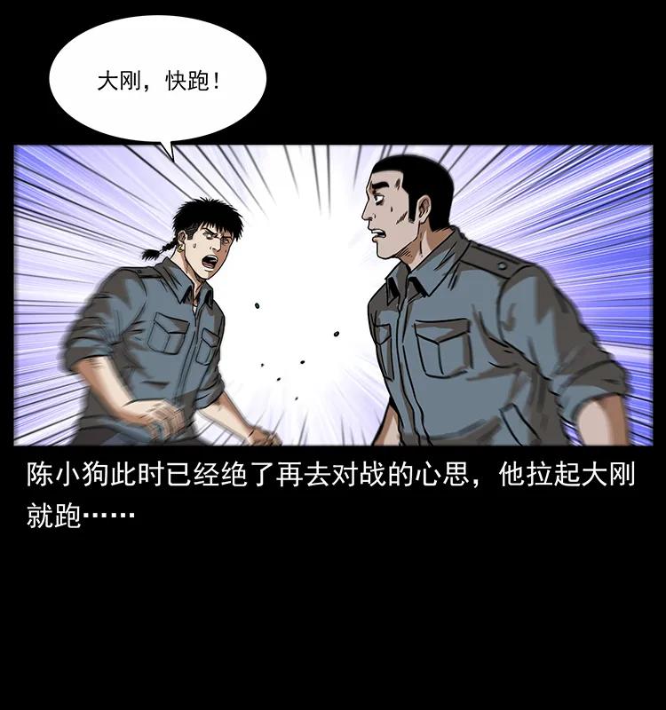 242 陈小狗失算了63