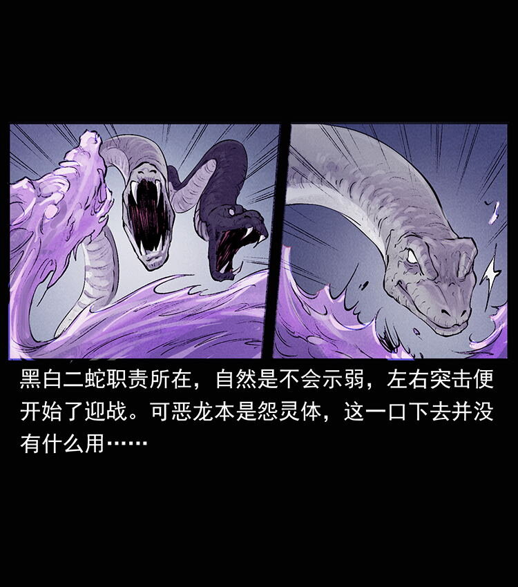 外传 洛生传8 封毒2