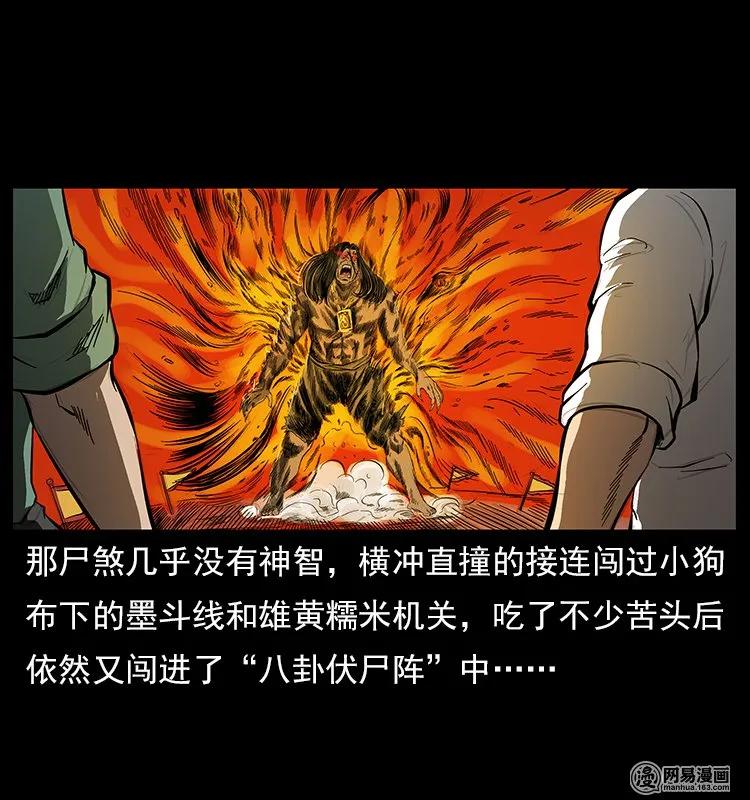 118 天宝仙牌1