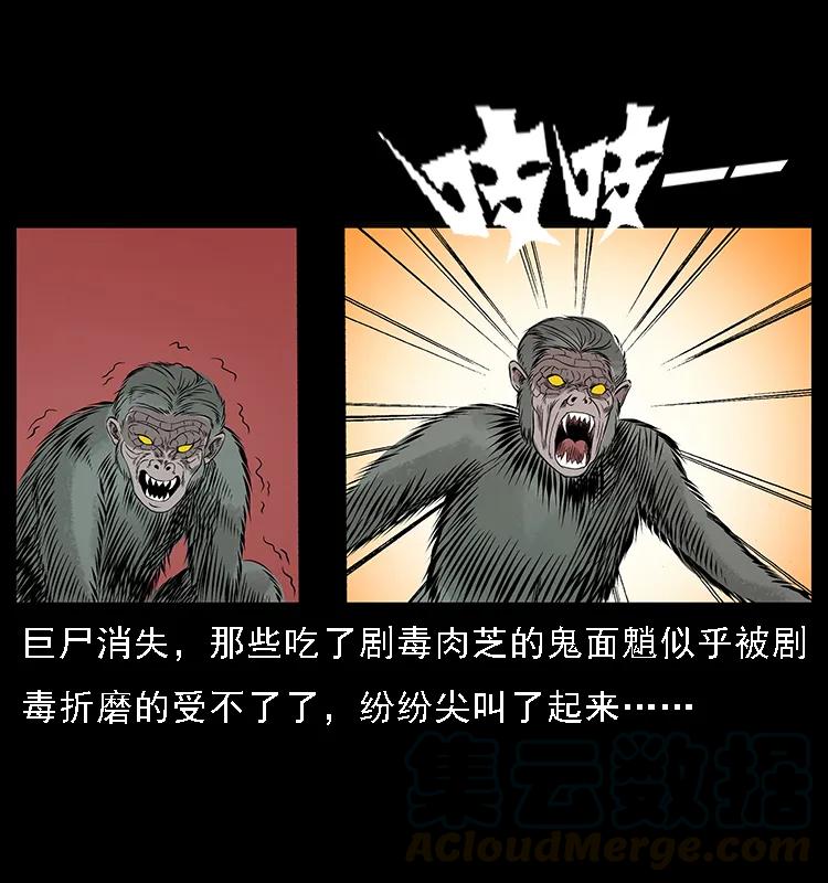 082 鬼桃树48