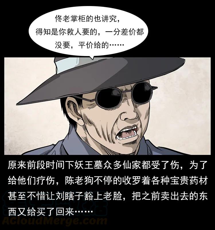 111 新的征程8