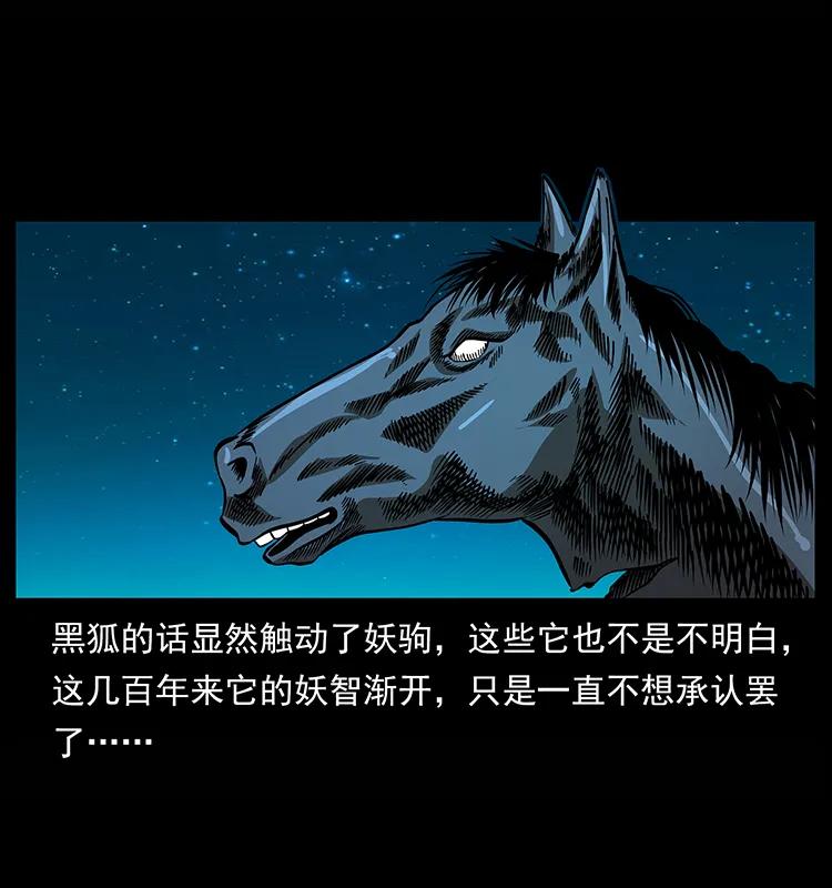 158 妖驹的选择65
