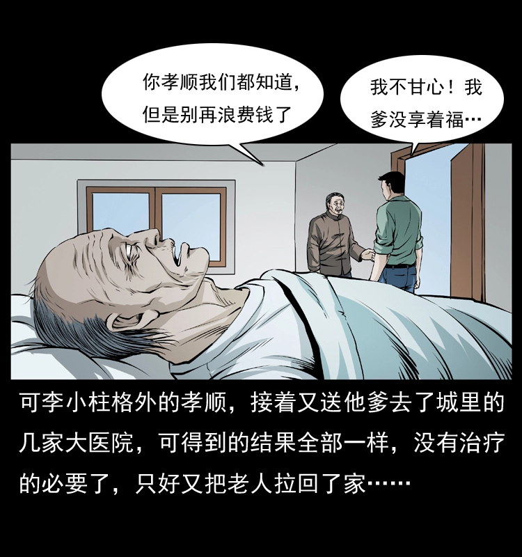 041 雷击尸219