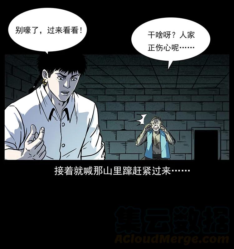 227 猴脑28