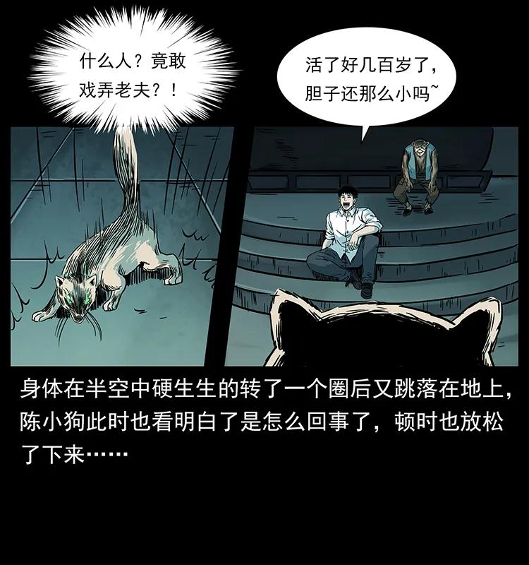 226 铁棺冢79