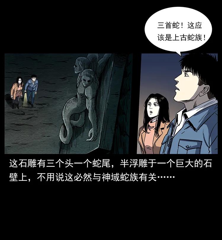 262 藏地神族2