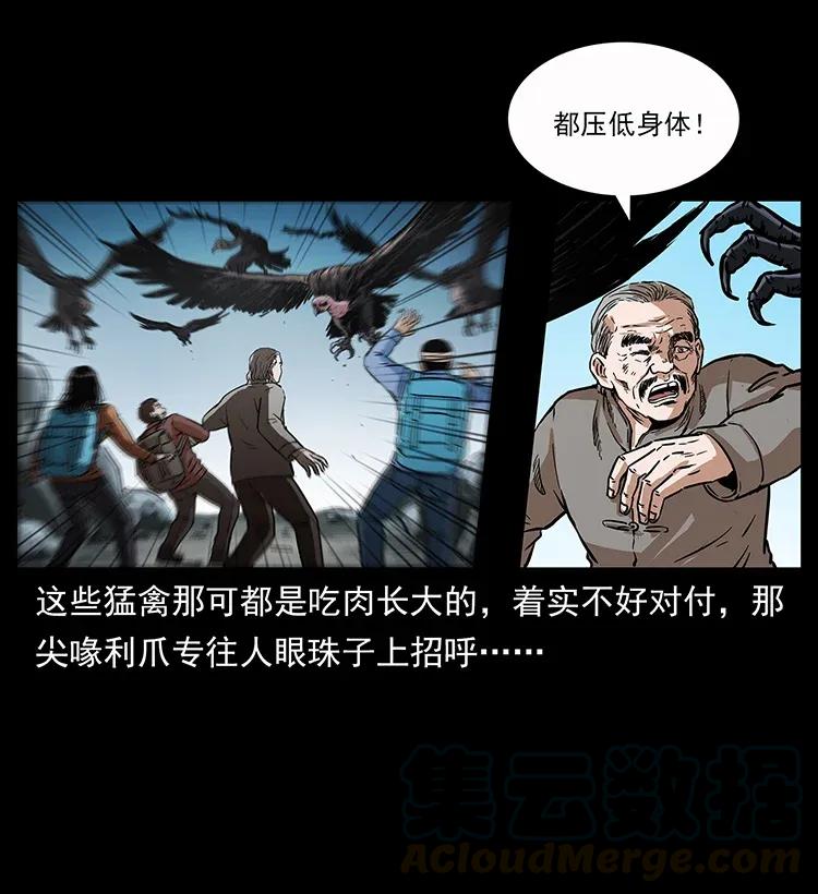 281 柱子归来！8