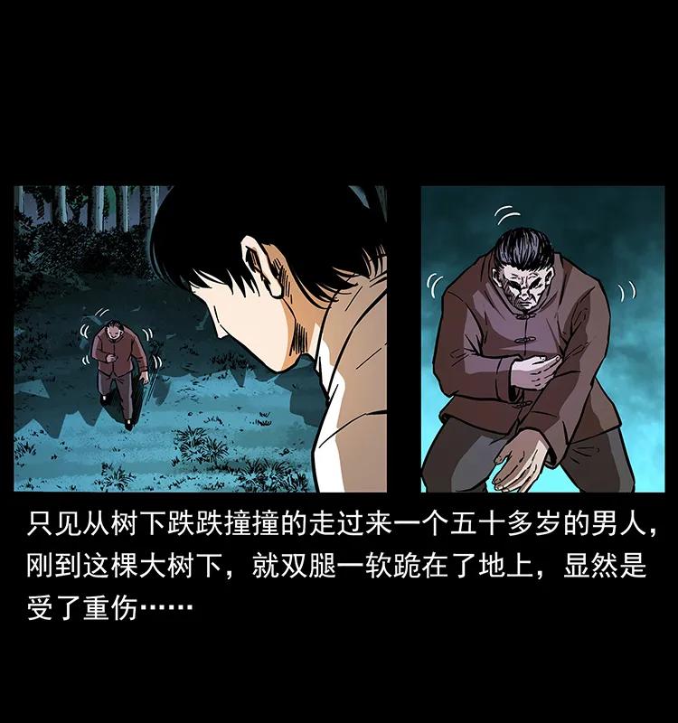 163 陈老狗下南疆27