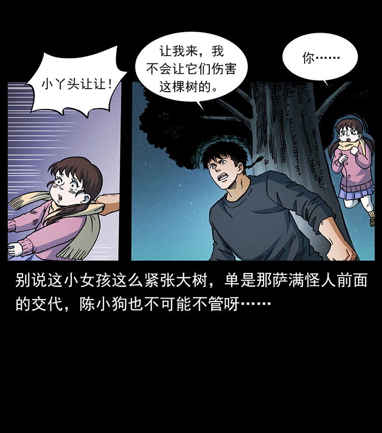 481 树42