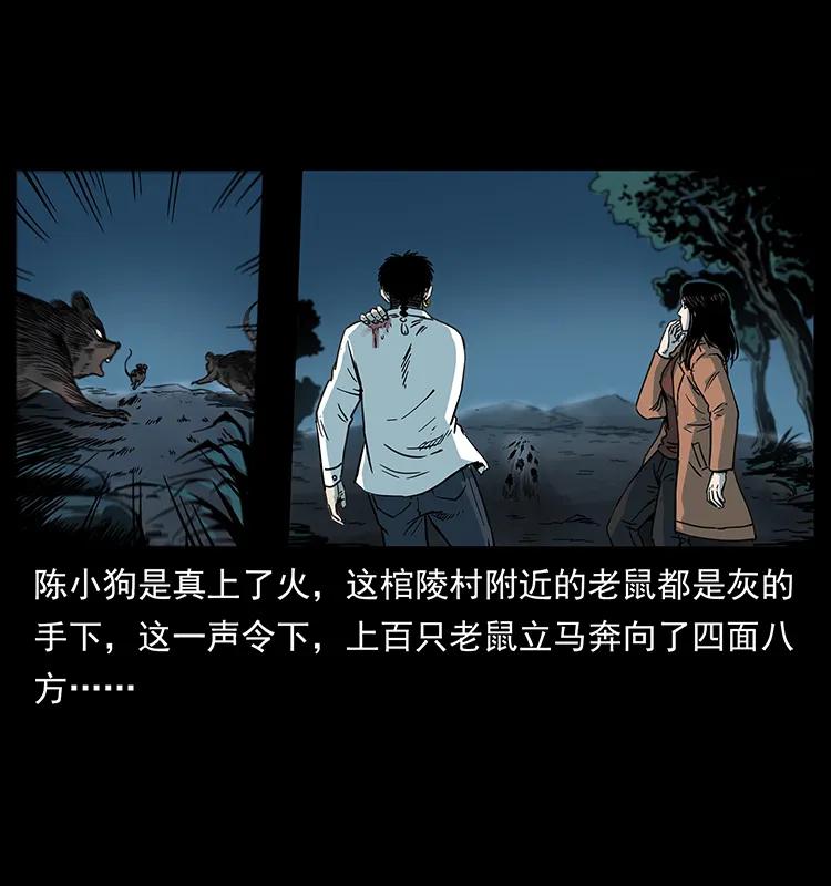 258 身后的危机49