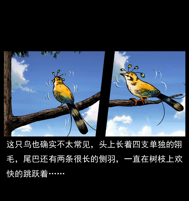 047 接龙骨34